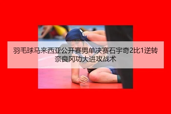 yu-mao-qiu-ma-lai-xi-ya-gong-kai-sai-nan-dan-jue-sai-shi-yu-qi-bi-ni-zhuan-nai-liang-gang-gong-da-jin-gong-zhan-shu-2-108.jpg