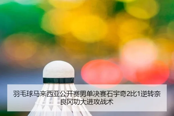 yu-mao-qiu-ma-lai-xi-ya-gong-kai-sai-nan-dan-jue-sai-shi-yu-qi-bi-ni-zhuan-nai-liang-gang-gong-da-jin-gong-zhan-shu-1-139.jpg