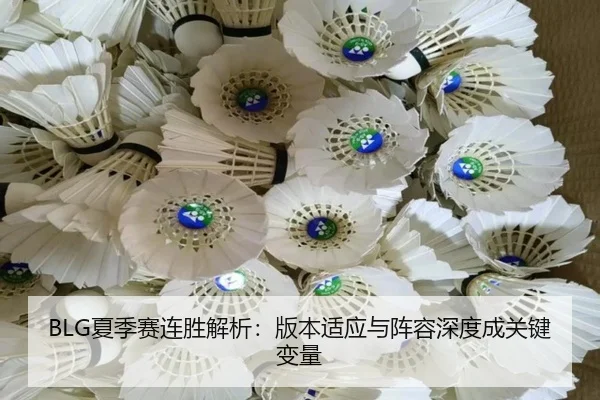 xia-ji-sai-lian-sheng-jie-xi-ban-ben-shi-ying-yu-zhen-rong-shen-du-cheng-guan-jian-bian-liang-2-104.jpg